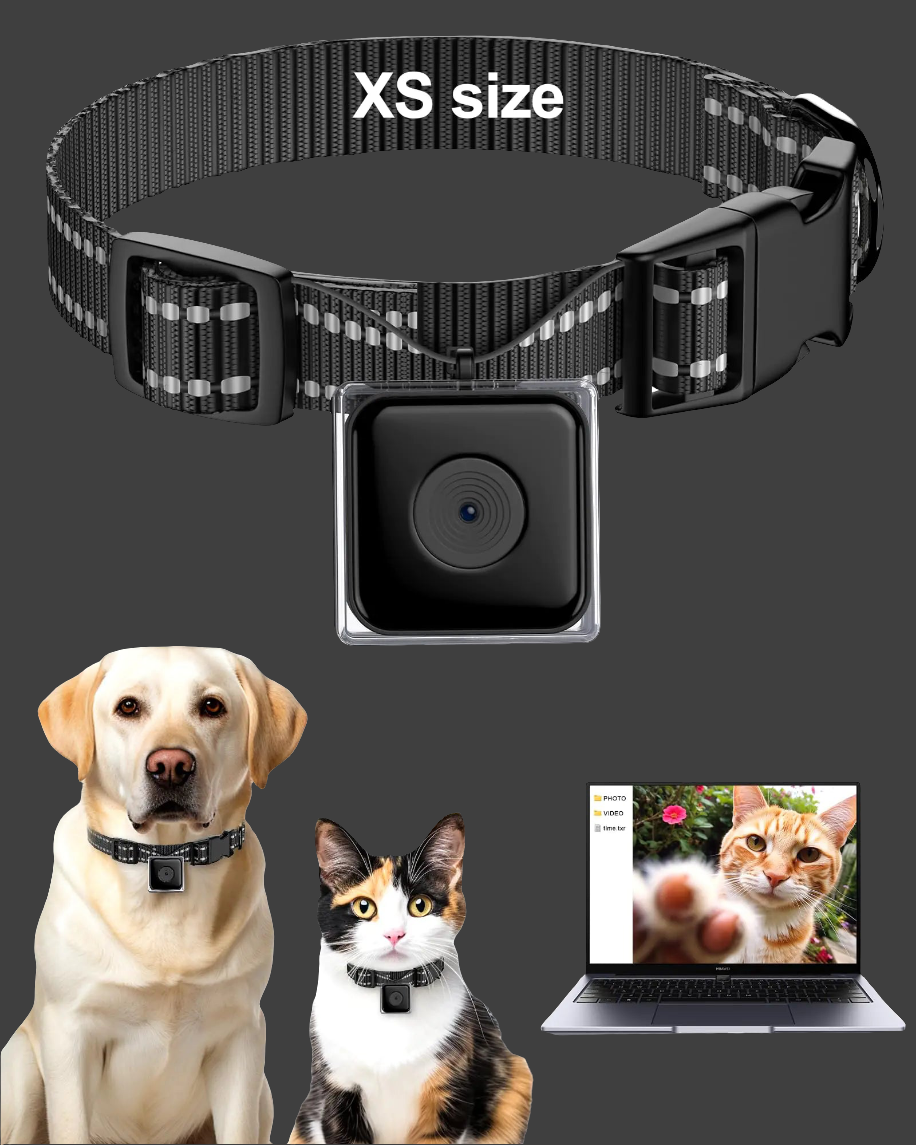 SnapSpy™ LuminiCam – Cordless Pet Collar Cam (XS, No App Needed)