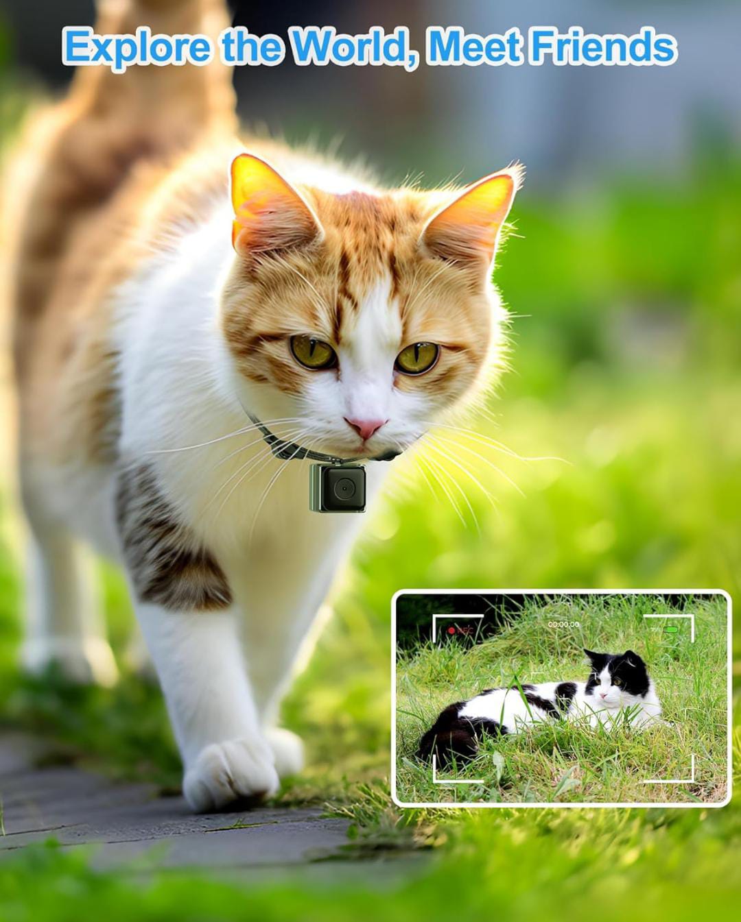 SnapSpy™ LuminiCam – Cordless Pet Collar Cam (XS, No App Needed)